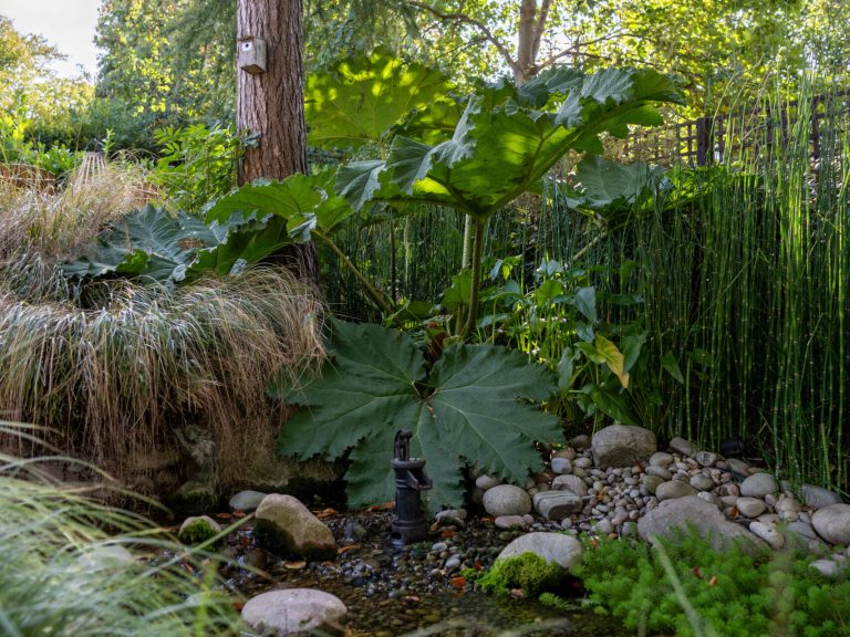 Studio Windsor - Epsom Job