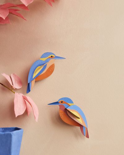 KINGFISHERS_AMBIENT-PORTRAIT