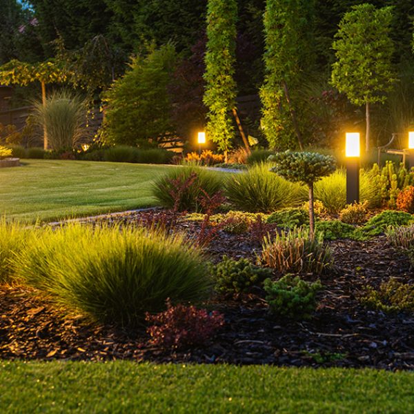 Studio Windsor 3 Ways We Craft Stunning Modern Garden Landscapes