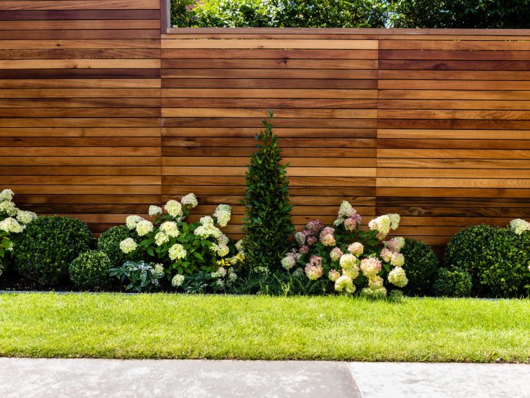 W&H_Weybridge_Aug21_HiRes_DSC6835-2