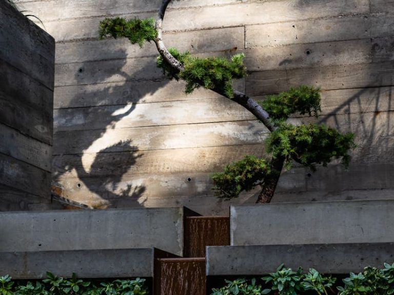 WINDSOR&HARRIS_36HIGHLAND_PURLEY_HiRes-2950