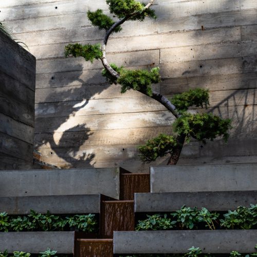 WINDSOR&HARRIS_36HIGHLAND_PURLEY_HiRes-2950