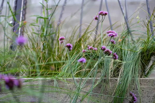 rharris-36highland-purley-lores-4121